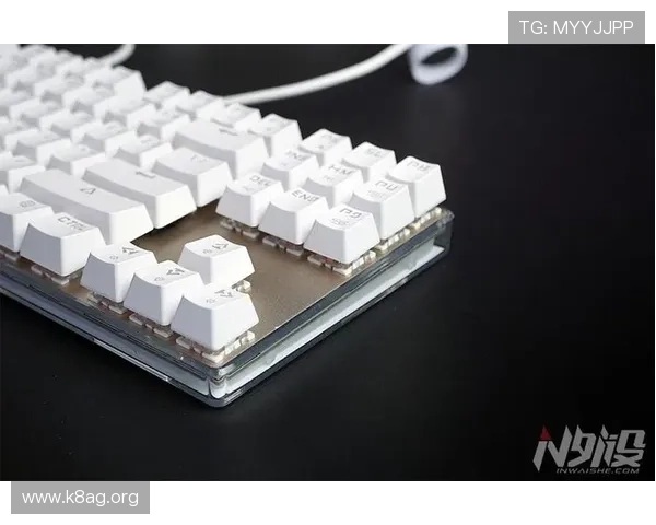 k8浏览器官方下载最新版，优化性能提升浏览速度的最佳选择
